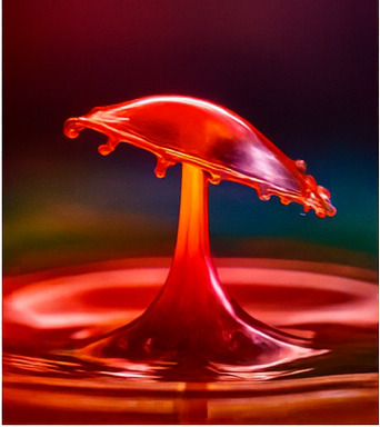 새로운 탐험이 기다리고 있습니다